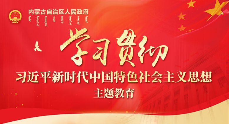 學習貫徹習近平新時代中國特色社會主義思想主題教育